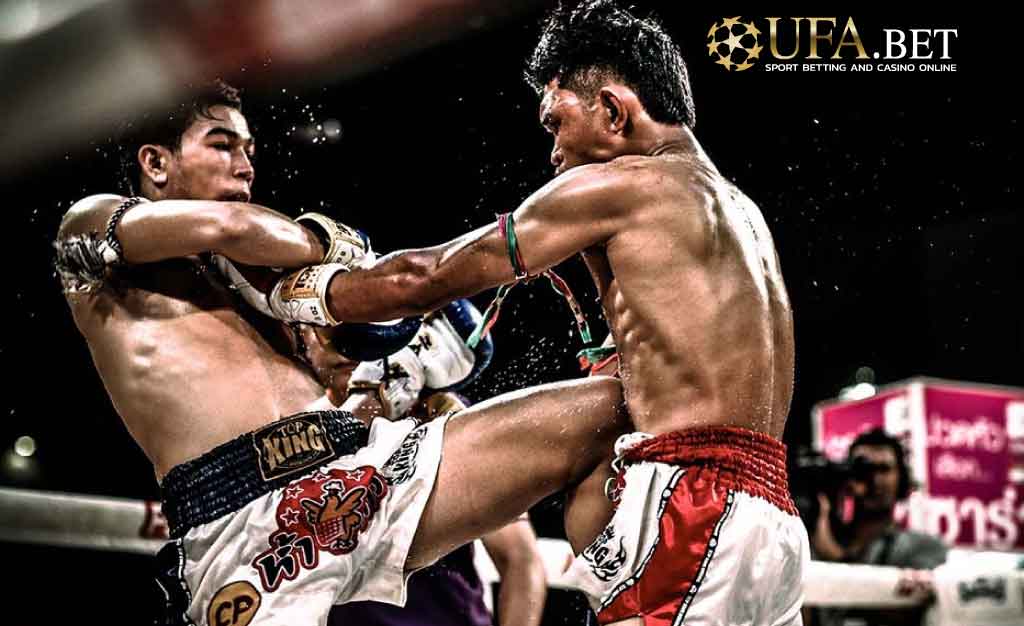 มวยไทย ufa bet
