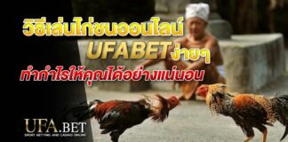วิธีเล่นไก่ชนออนไลน์ UFABET